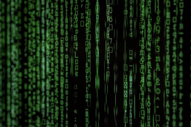 Local Silicon: Running Privacy-First Neural Models Directly on Your Device